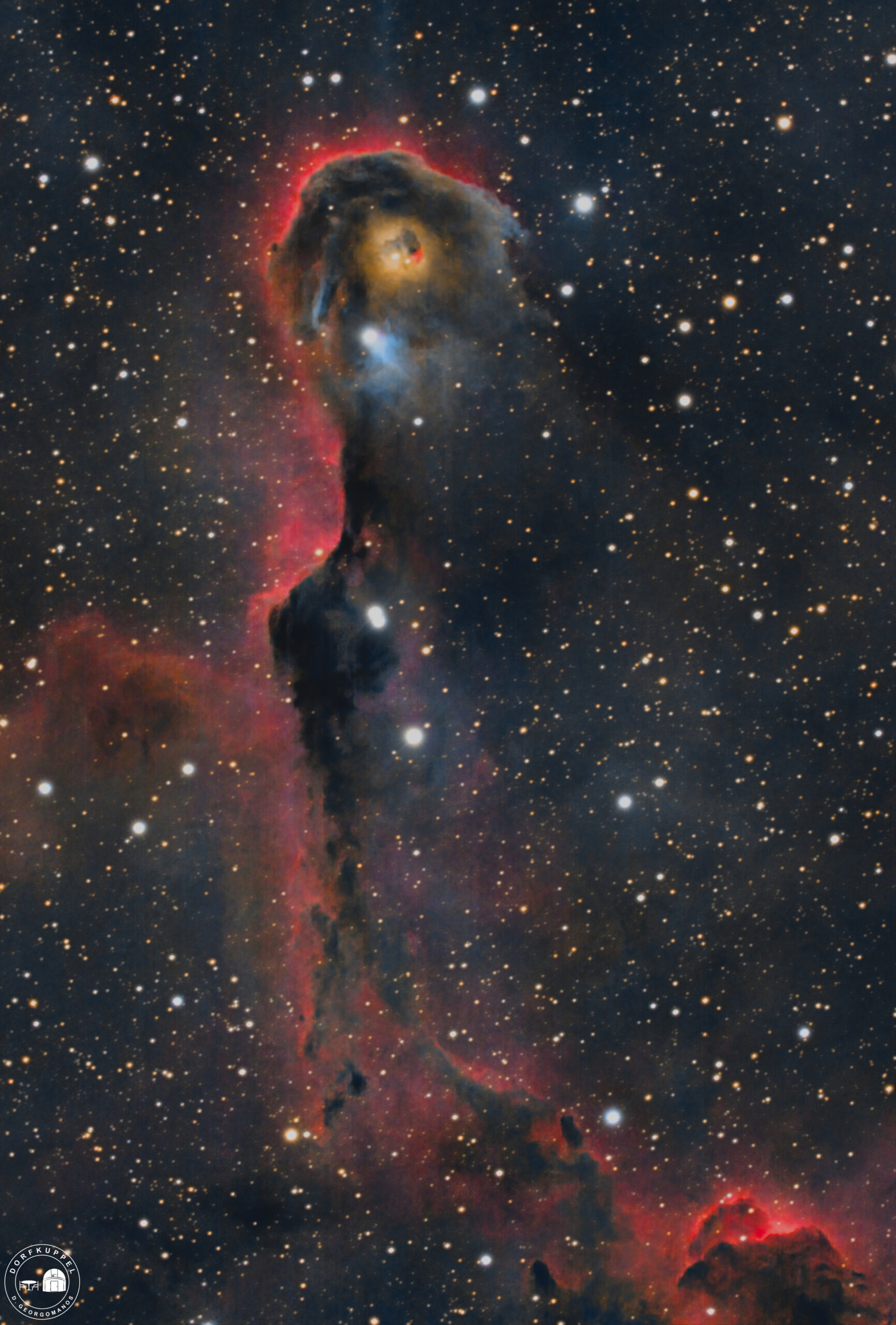 IC 1396 Elefantenrüsselnebel 